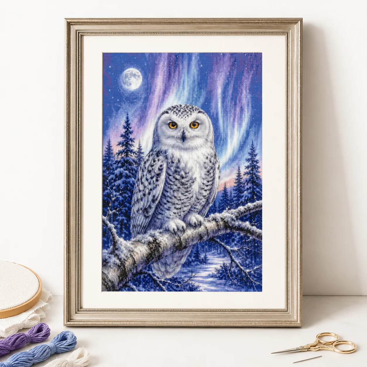 Cross Stitch Stamped Kits Beginners - [ZZ8820-Occhio di Gufo Invernale] | Kit